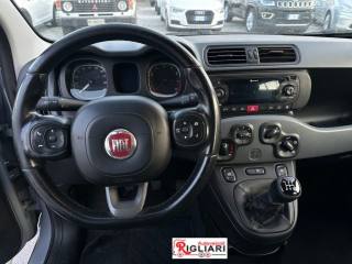 FIAT Panda usata 14