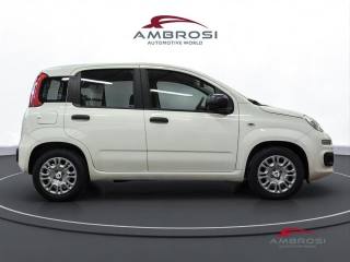 FIAT Panda usata 4