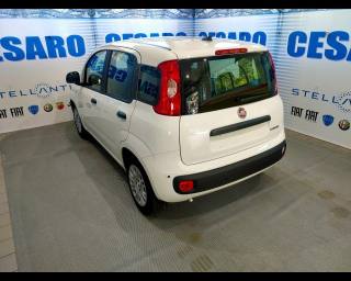 FIAT New Panda usata, con Alzacristalli elettrici