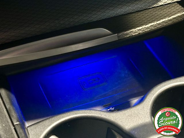 BMW 520 usata, con Fendinebbia