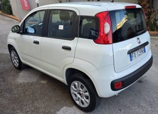 FIAT Panda usata, con Alzacristalli elettrici