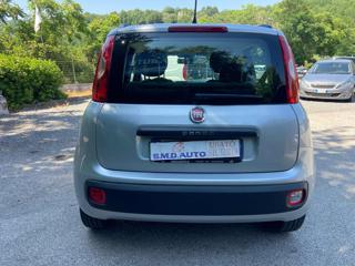 FIAT Panda usata, con Immobilizzatore elettronico
