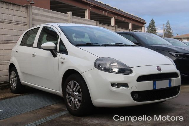 FIAT Punto usata 0