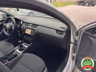 SKODA Octavia usata, con Cruise Control
