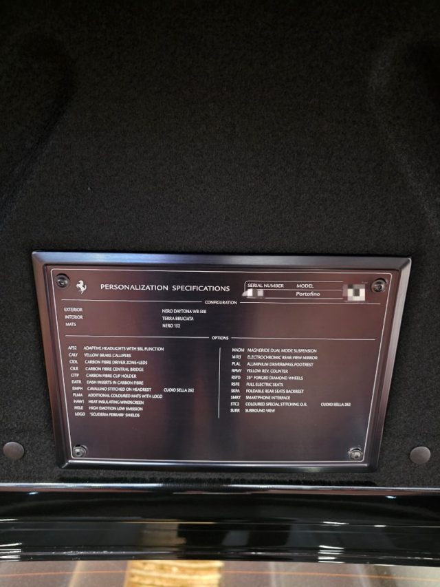 FERRARI Portofino usata, con Immobilizzatore elettronico