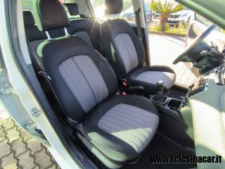 FIAT Punto usata 15