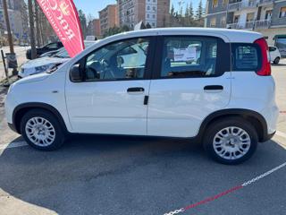 FIAT Panda usata, con Airbag Passeggero