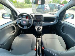 FIAT Panda usata, con Servosterzo