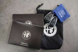 ALFA ROMEO Stelvio usata, con Immobilizzatore elettronico