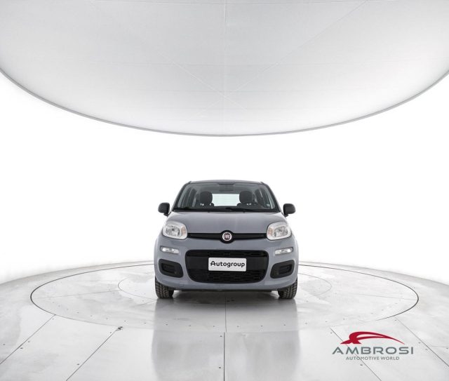 FIAT Panda usata 4
