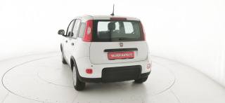 FIAT Panda usata 32