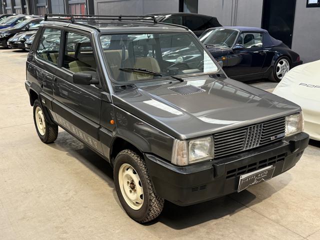 FIAT Panda usata 2