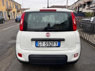 FIAT Panda usata, con Boardcomputer