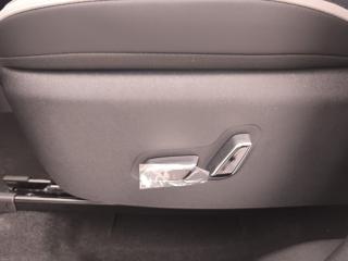 BYD Dolphin Surf usata, con USB