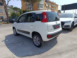 FIAT Panda usata, con Alzacristalli elettrici