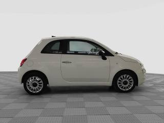 FIAT 500 usata 6