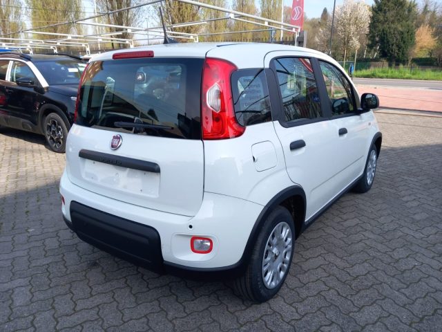 FIAT Panda usata, con Climatizzatore