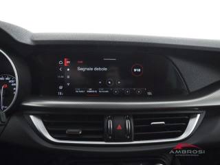 ALFA ROMEO Stelvio usata 13
