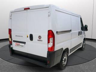 FIAT Ducato usata, con ESP