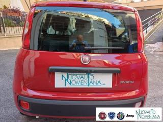 FIAT Panda usata, con Climatizzatore