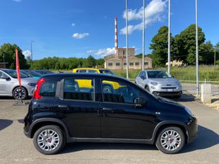 FIAT Panda usata, con Alzacristalli elettrici
