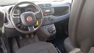 FIAT Panda usata, con Chiusura centralizzata