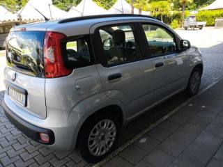 FIAT Panda usata, con Airbag Passeggero