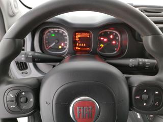 FIAT Panda Cross usata, con Controllo trazione