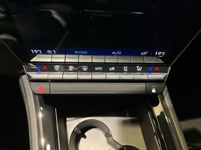 RENAULT Austral usata 20