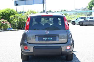 FIAT Panda usata, con Antifurto