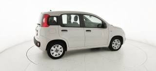 FIAT Panda usata 19