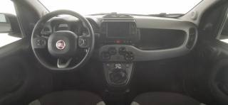 FIAT Panda usata, con Controllo trazione
