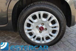 FIAT Panda usata, con Vivavoce