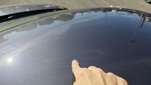 VOLKSWAGEN Polo usata, con Vivavoce