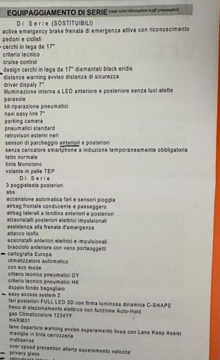 RENAULT Captur usata, con Immobilizzatore elettronico