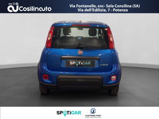 FIAT Panda usata, con Airbag Passeggero