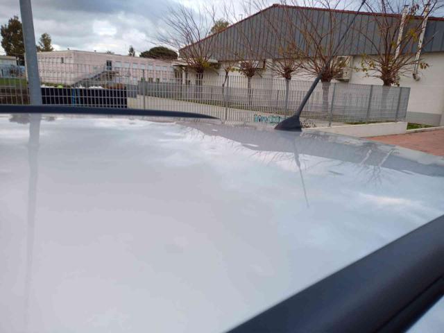 FORD Focus usata 17