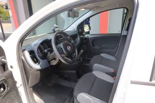 FIAT Panda usata, con Controllo vocale