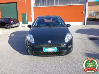 FIAT Punto usata, con ESP