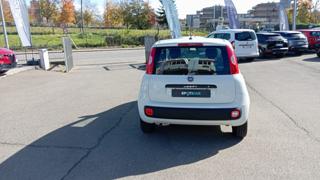 FIAT Panda usata, con Autoradio