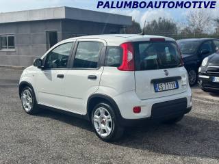 FIAT Panda usata, con Chiusura centralizzata