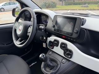 FIAT Panda Cross usata, con Luci diurne LED