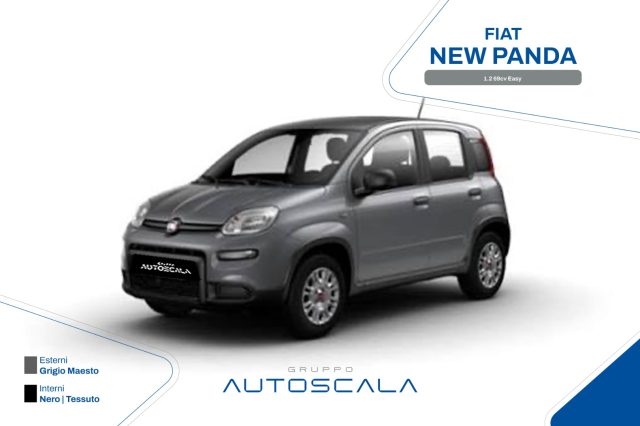 FIAT New Panda usata, con ABS