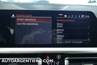 BMW 320 usata, con Vivavoce