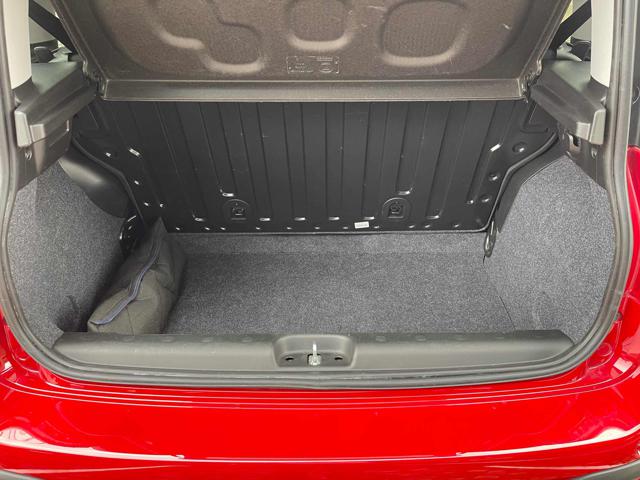 FIAT Panda Cross usata, con Fendinebbia