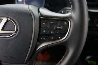 LEXUS UX 250h usata 35