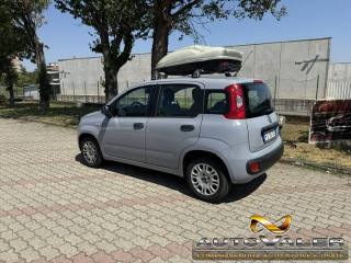 FIAT Panda usata, con Alzacristalli elettrici