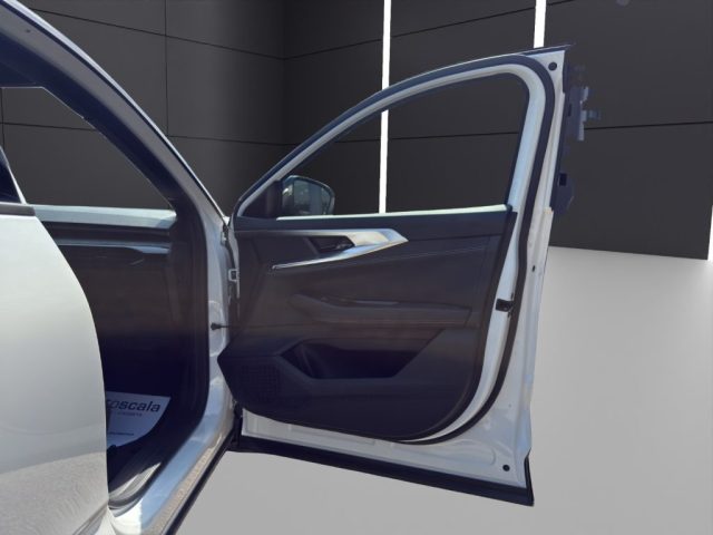 RENAULT Austral usata, con Vetri oscurati
