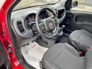 FIAT Panda Cross usata, con Climatizzatore