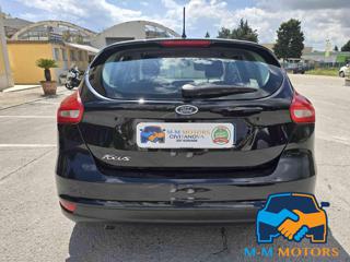 FORD Focus usata, con Airbag Passeggero